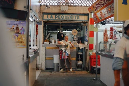 carnitas burrito with cilantro rice